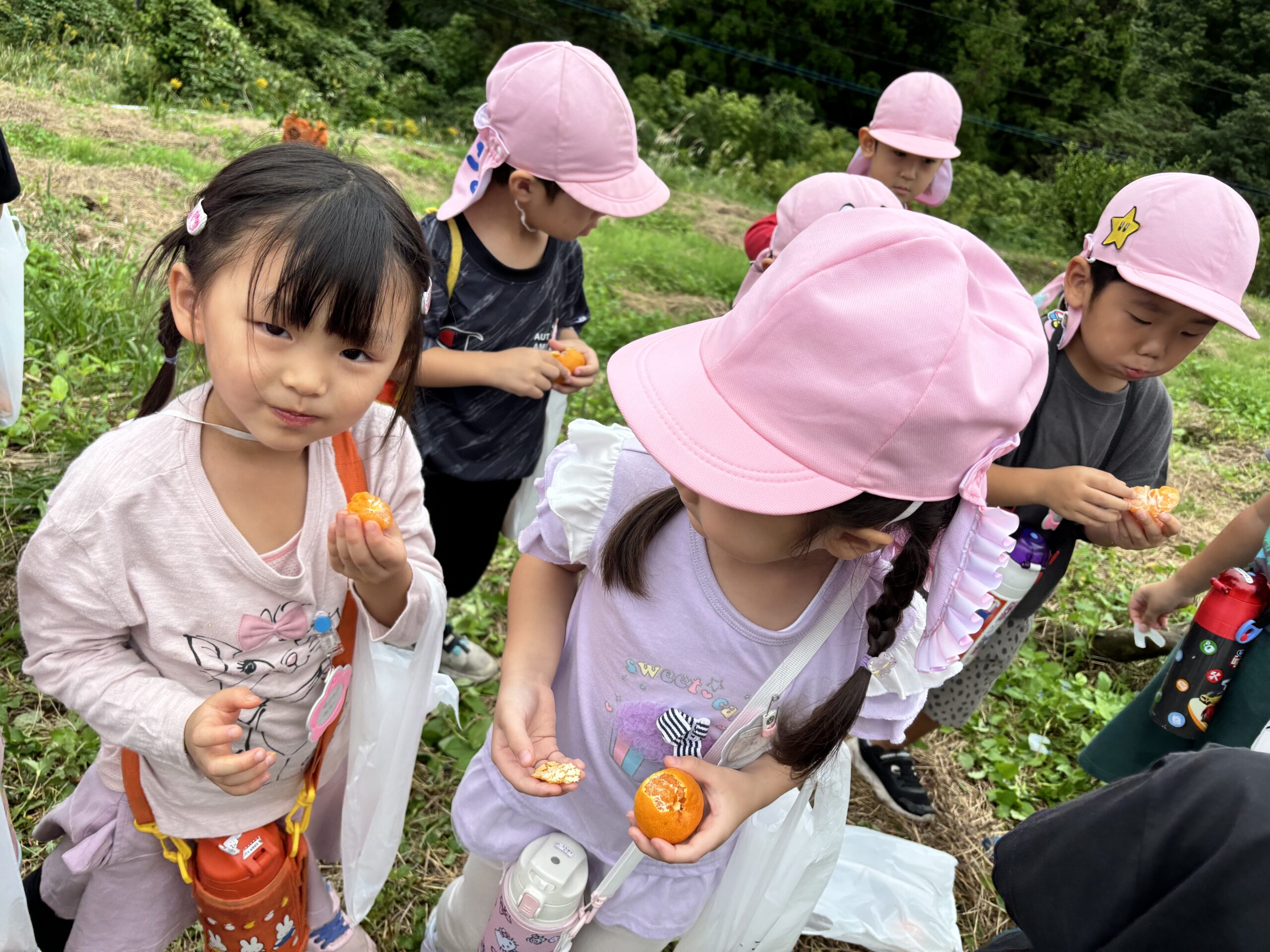 １０月２９日　みかん狩り