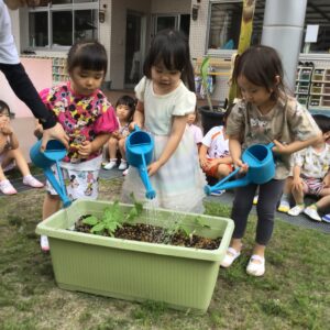 黒い種から 何がで出てくるかな♪