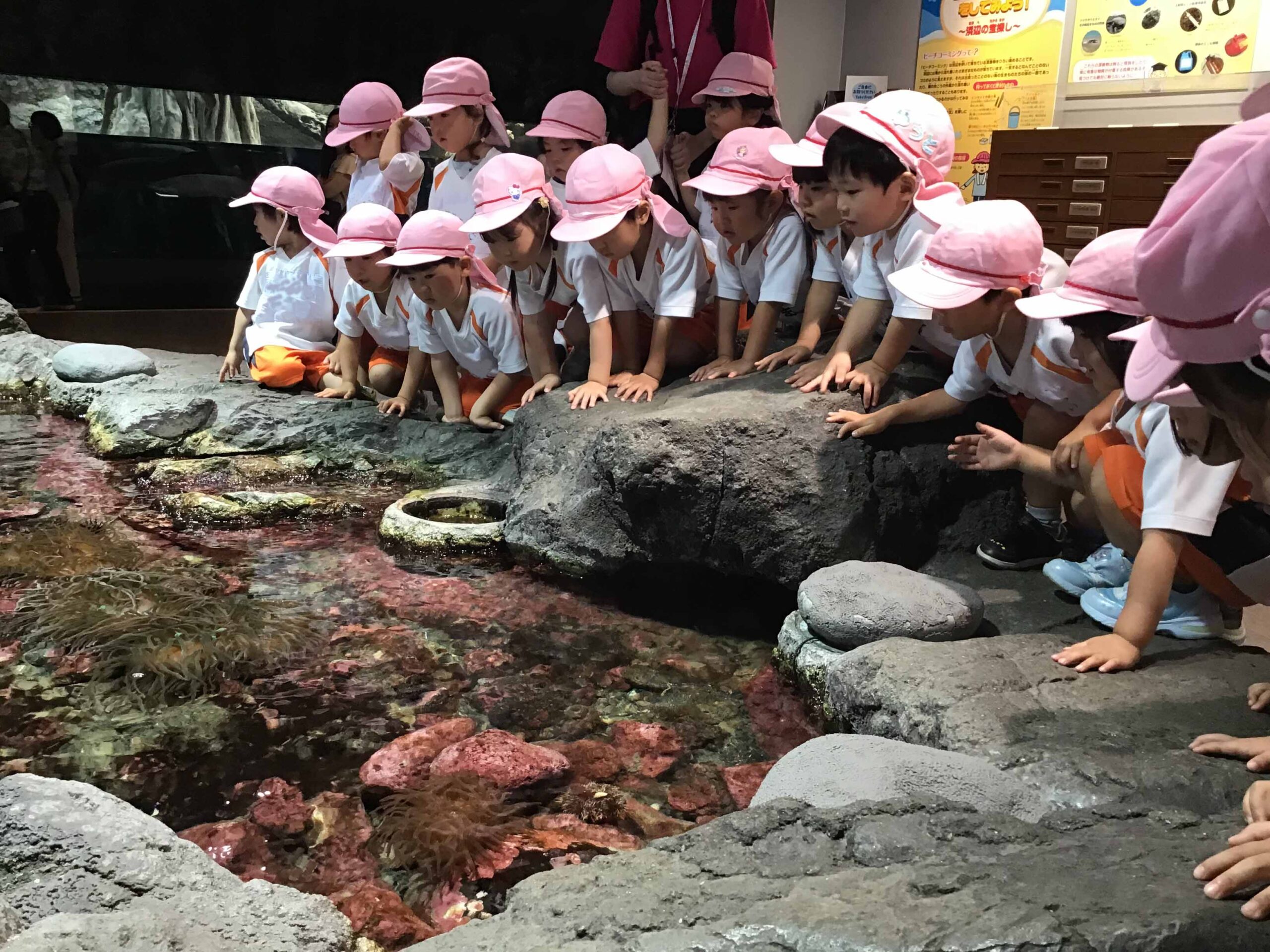 いろいろな魚がいっぱい