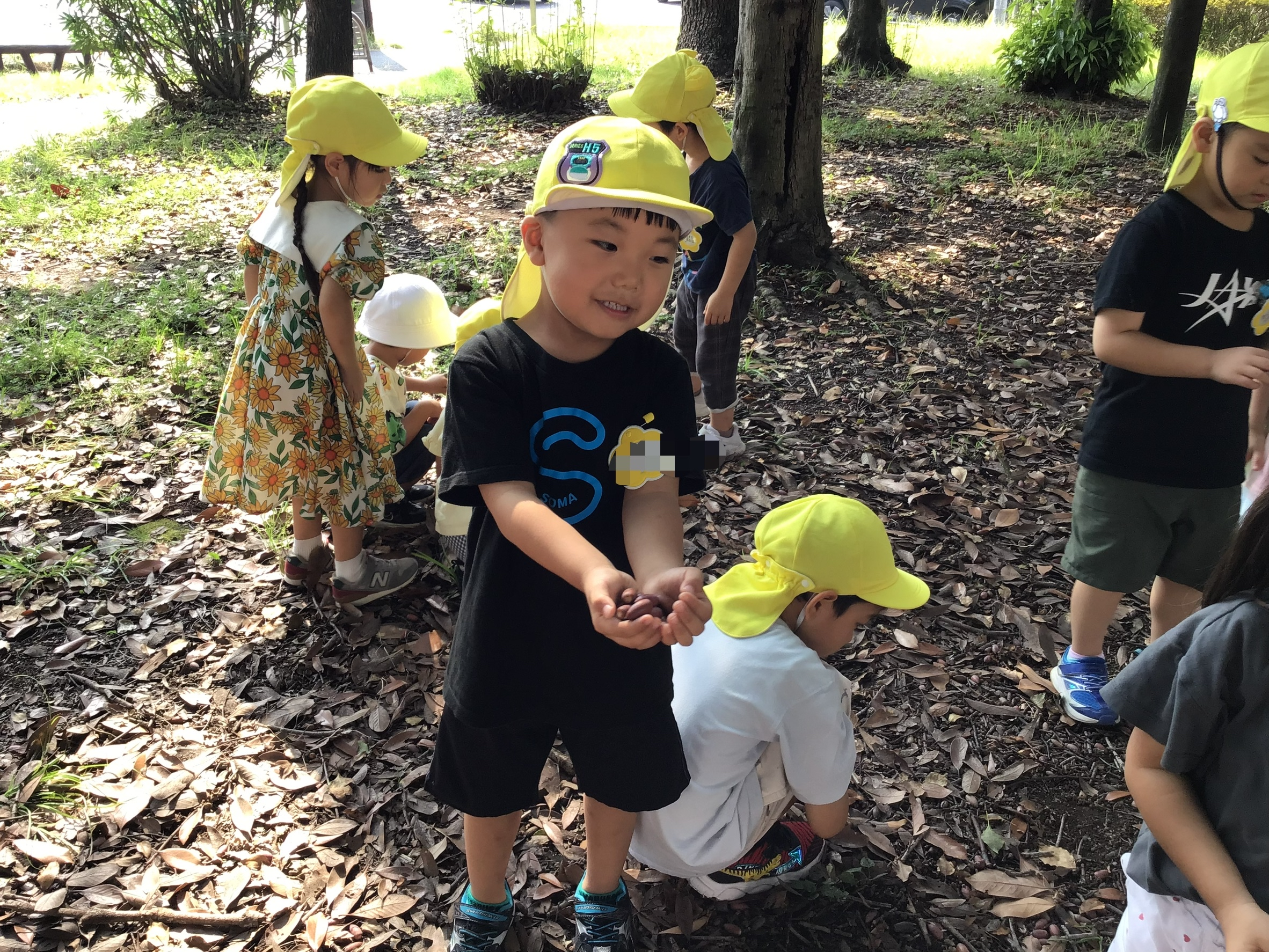 秋の自然を楽しもう！