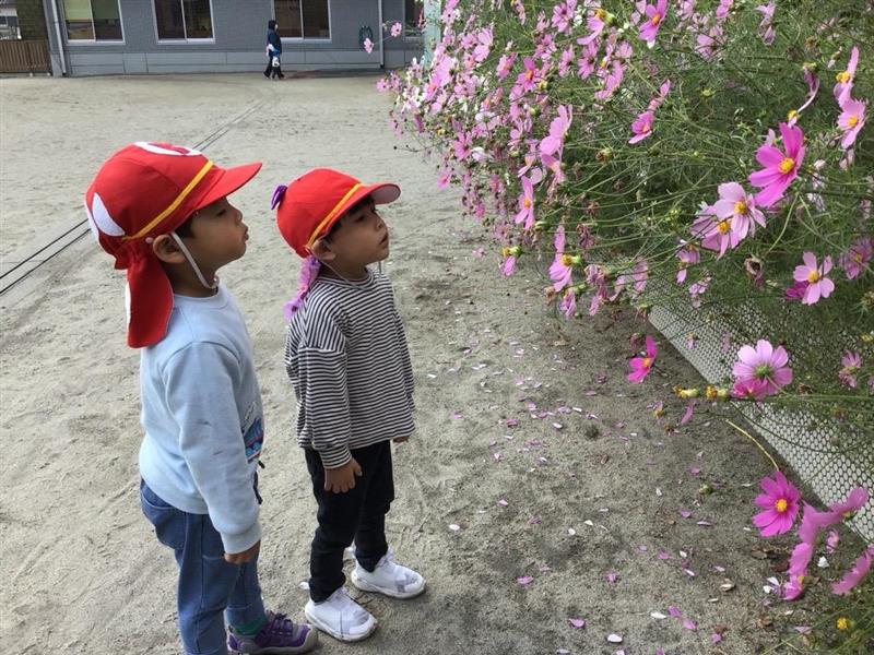 秋空の下 園庭遊び