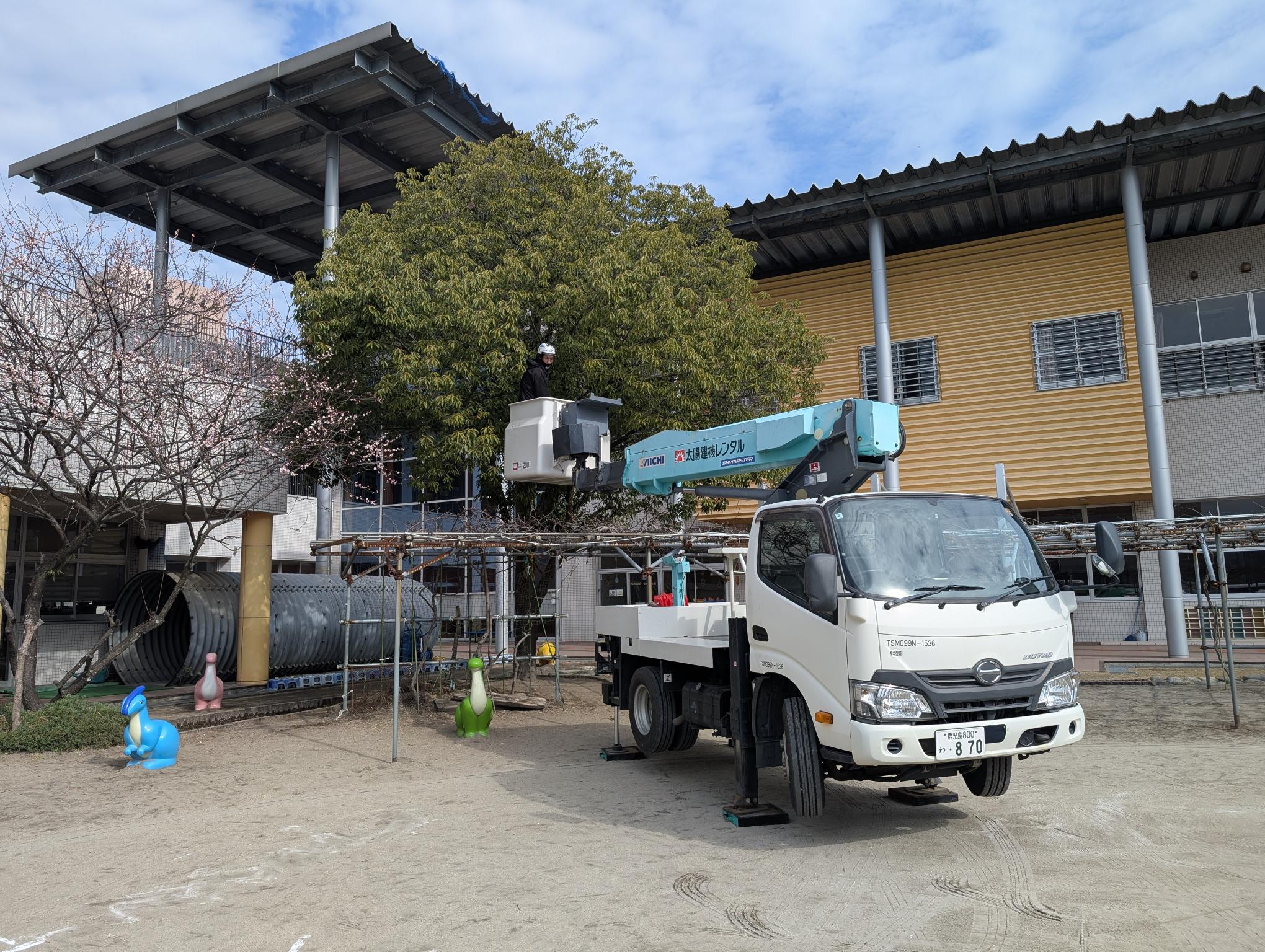 園庭樹木を伐採