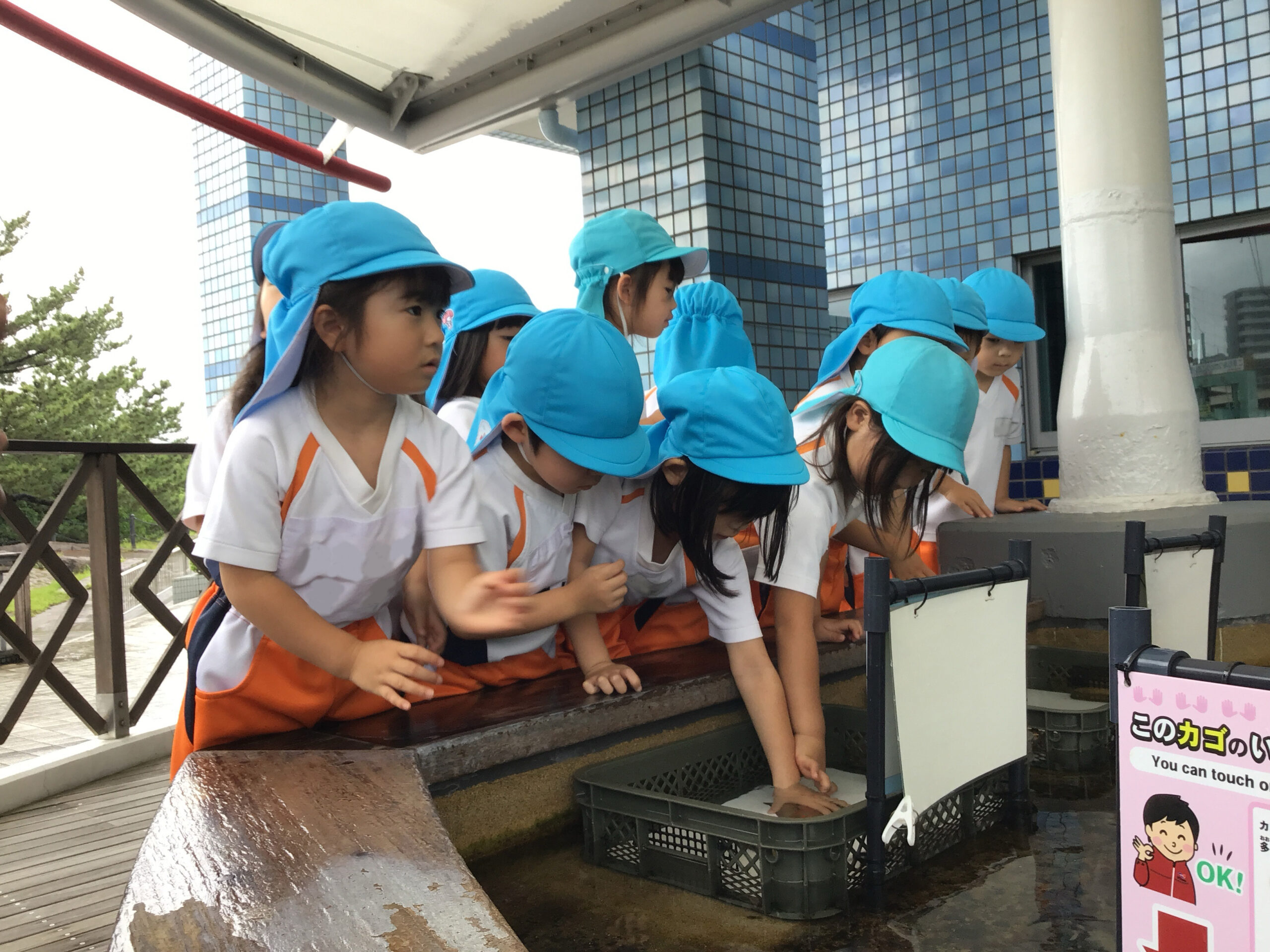 わくわく　水族館遠足